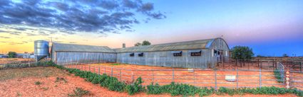 Bucklow Station - Woolshed - NSW (PB5D 00 2703)